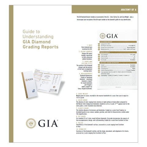 GIAレポートを理解するためのガイド（パンフレット）