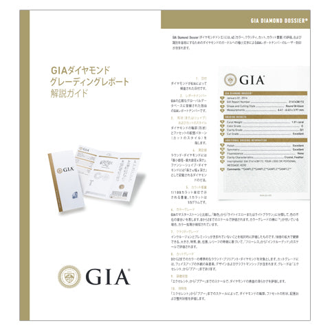 GIAレポートを理解するためのガイド（パンフレット）